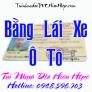Túi Nhựa Dẻo PVC Bằng Lái Xe Ô TÔ B1 - B2- C- D - E - FC - FE loại PET