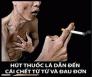 Kẹo Cai Thuốc Lá Vị Café - Hàng Nội Địa Nhật