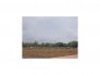 Đất chính chủ hl 2 dt 100m2