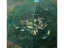 Lưới bắt cá tôm lươn chạch