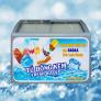 Tủ đông kem Sanden Intercool Thái Lan 300 lít