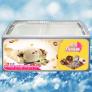 Tủ đông kem Sanden Intercool Thái Lan 500 lít