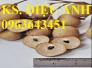 Cung cấp cây giống nhãn không hạt Thái Lan, giống nhãn hạt lép năng suất cao, chất lượng tốt