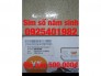 Sim số năm sinh 10