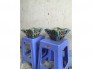 Chậu xưa 1 cặp hình con bướm