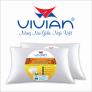 Best combo 2 gối gòn xơ 50x70cm cao cấp Vivian