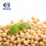 Soy Isoflavones 40%