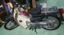 Xe Honda Cub