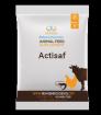 ActiSaf
