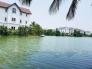 Bán lại căn song lập góc 180-185m2 ĐN view vườn hoa Vinschool bên hồ lớn Vinhomes - The Harmony