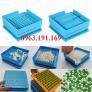 Cung cấp khuôn làm nang thủ công, vỏ nang rỗng, vỏ nang thuốc con nhộng các màu và đủ size