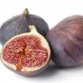 Cây giống Sung Mỹ, sĩ và lẻ giá mềm