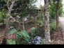 Bán đất nền lộ kênh tập đoàn đối diện trường Nguyễn Đình Chiểu
