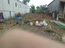 Bán đất Tam An Ấp 2 đầu tư lợi nhuận cao