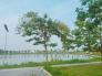 Đất phân Lô liền kề KĐT V- Green City Phố Nối, Hưng Yên, 100m2