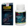 Viên Uống Chiết Xuất Từ Bào Ngư Suns Abalone 500mg 60 Viên