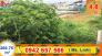 Bán đất xây dựng rộng hẻm Lý Nam Đế, view thoáng, khu yên tĩnh