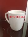 Ly sứ Việt Nam in logo theo yêu cầu giá rẻ
