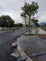Đất nằm ngay trung tâm tp Bà Rịa, sổ hồng thổ cư 100% chỉ 590 triệu