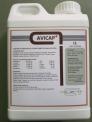 Avicap