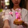Đèn thủy tinh kiêm loa bluetooth TW-L10