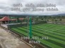 Lưới sân bóng