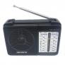 Đài phát thanh Sony SW 607