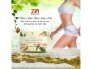 Trà giảm cân Hoa Sâm Đất