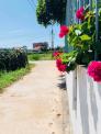 Bán Mặt Tiền Quốc Lộ 1A Tp Phan Thiết Cách Trung Tâm 5Km