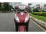Honda vision