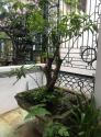 Bán nhà chính chủ, phân lô phố Thái Hà đẹp lung linh 4x70m2