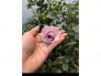Hoa hồng thân gỗ Việt Nam - Hồng thân gỗ Đà lạt