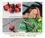 Dây pe nhỏ giọt azud tây ban nha,ống mềm tưới nhỏ giọt azud, que cắm nhỏ giọt,phụ kiện tưới nhỏ giọt azud