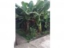 Bán đất thổ cư diện tích 30m2 đường ô tô kinh doanh tốt xã Hạ Mỗ, huyện Đan Phượng