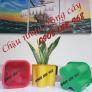 Chậu nhựa hoa tết, chậu nhựa hoa tết