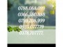 Sim số đẹp VIP chính chủ