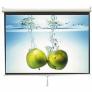 Màn chiếu treo tường 100 inch giá rẻ