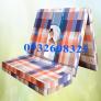 Nệm Hàn Quốc 1mx2mx5cm Pe Gấp 3