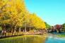 Tour SeOul - Jeju - Nami - Everland