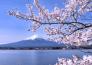 Osaka - Nagoya - Yamanashi - Tokyo