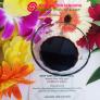 Tương tamari lâu năm (3 năm 500ml)