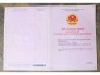 Chính chủ cần bán 2 lô đất Thị Trấn La Hà Tư Nghĩa cách Trung Tâm Thành Phố Quảng Ngãi chỉ 2 phút