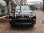 Bán Lexus GX460 sản xuất 2018 Nhập Mỹ giá tốt