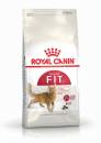 Bao 10kg Royal Canin Fit 32 Thức ăn cho mèo Nhập Khẩuu Pháp