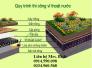 Vỉ thoát nước thông minh
