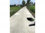 Bán 10 nền đất thổ cư đường đan 5m.