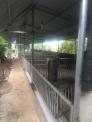 Bán Nhà mặt đường tỉnh lộ 1, gần trung trung tâm huyện Buôn Đôn