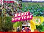 Tour Du Lịch Cần Thơ Tết Nguyên Đán 2019