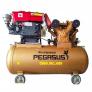 Máy nén khí đầu nổ 500L-20hp