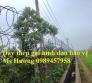 Dây kẽm lam, dây thép gai vòng tròn rào vườn, dây thép gai bảo vệ nhà giá rẻ mới 100%